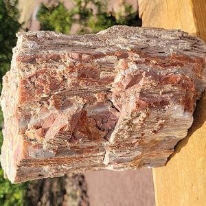 14lbs 4.2oz Az rainbow Agatized mineral petrified wood specimen